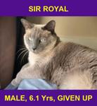 SIR ROYAL